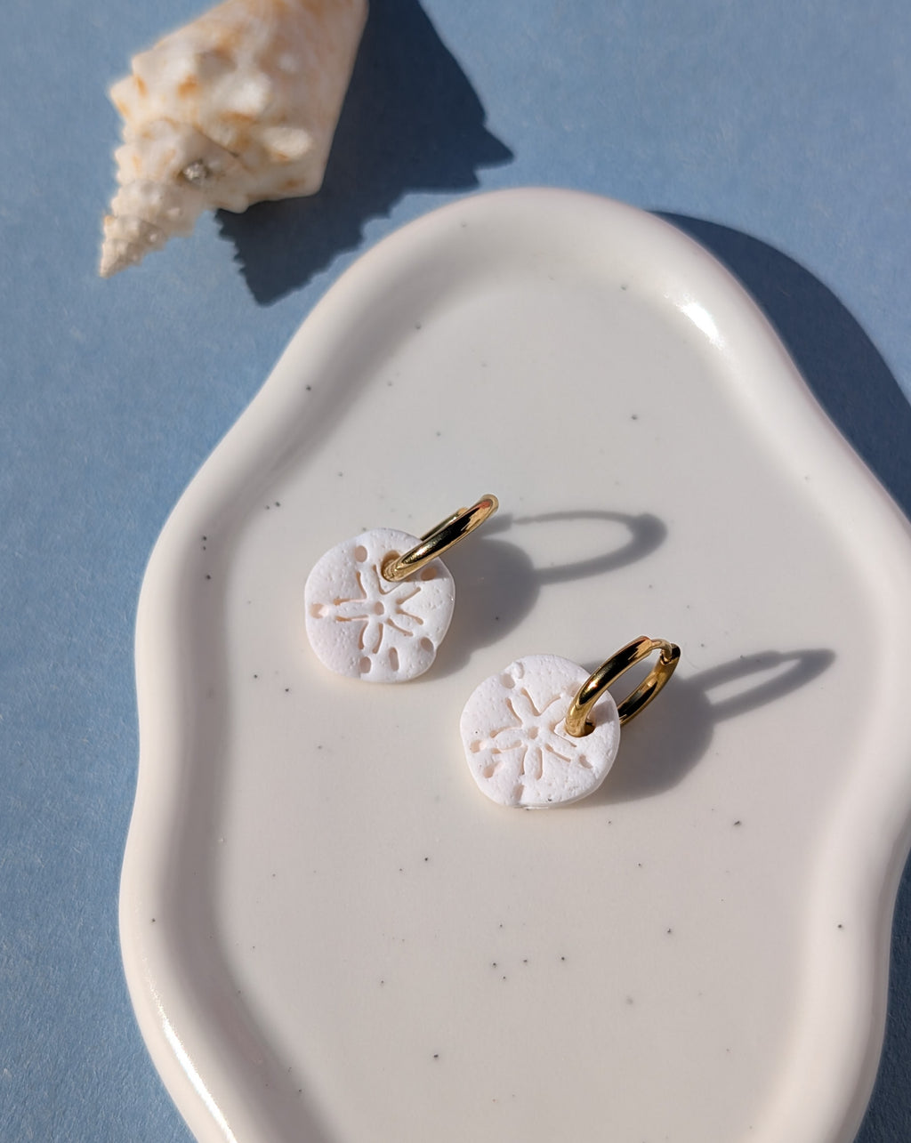Sand Dollar