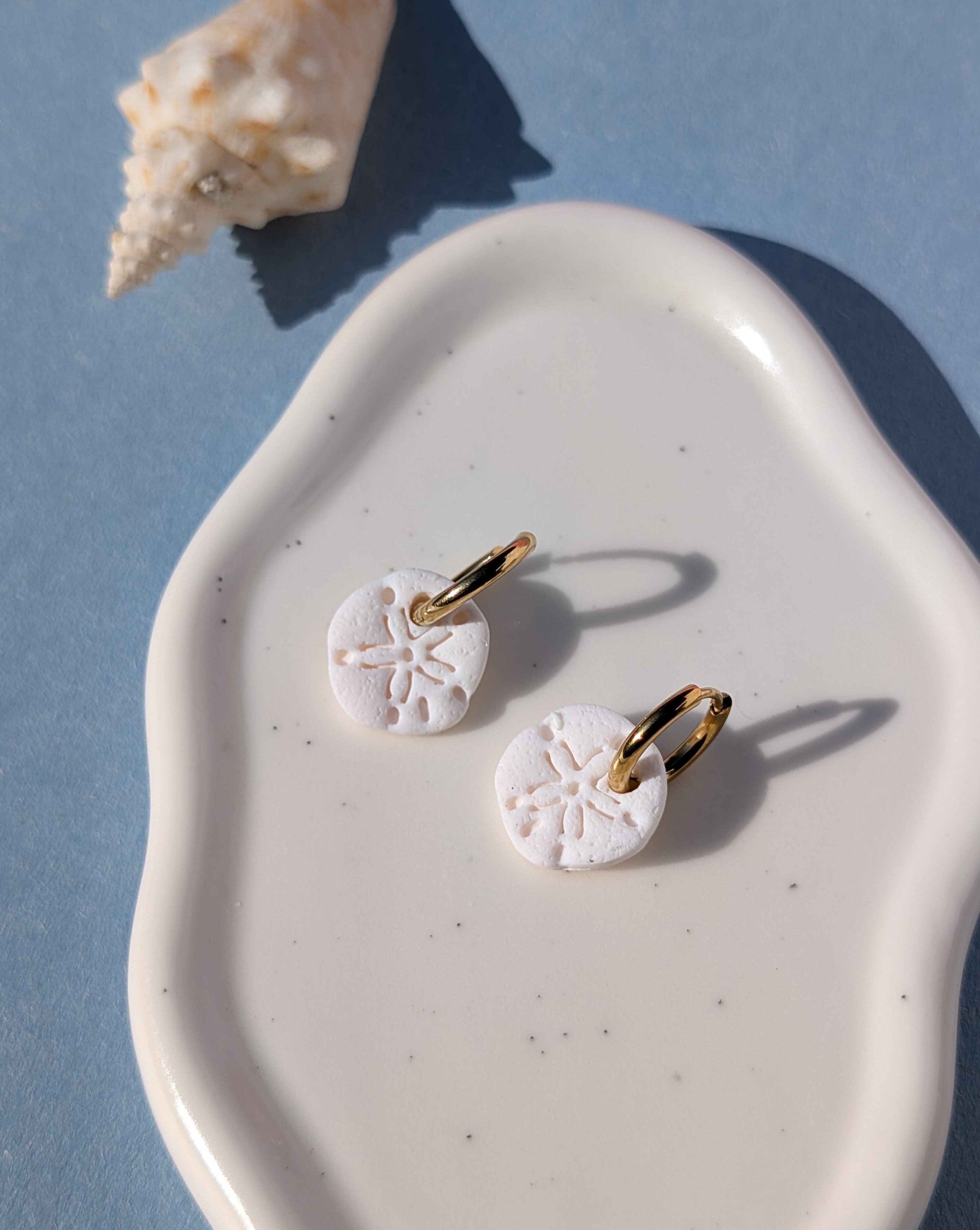 Sand Dollar