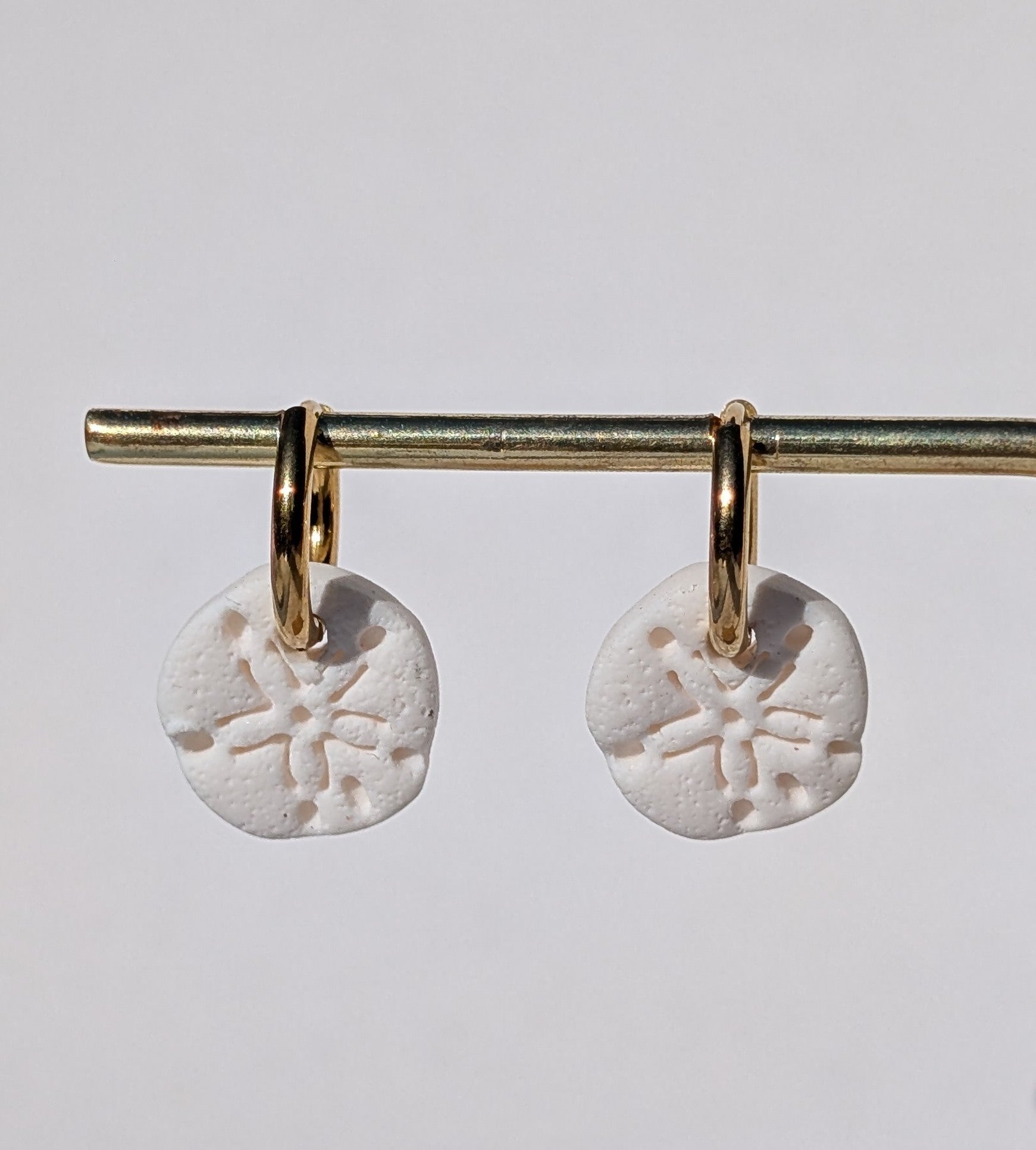 Sand Dollar