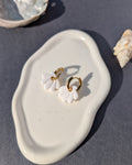 White Shell
